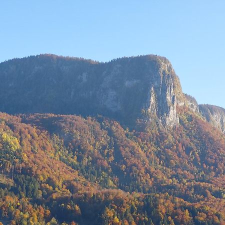 Apartmaji Pr'Pisk Bohinjska Bela Extérieur photo