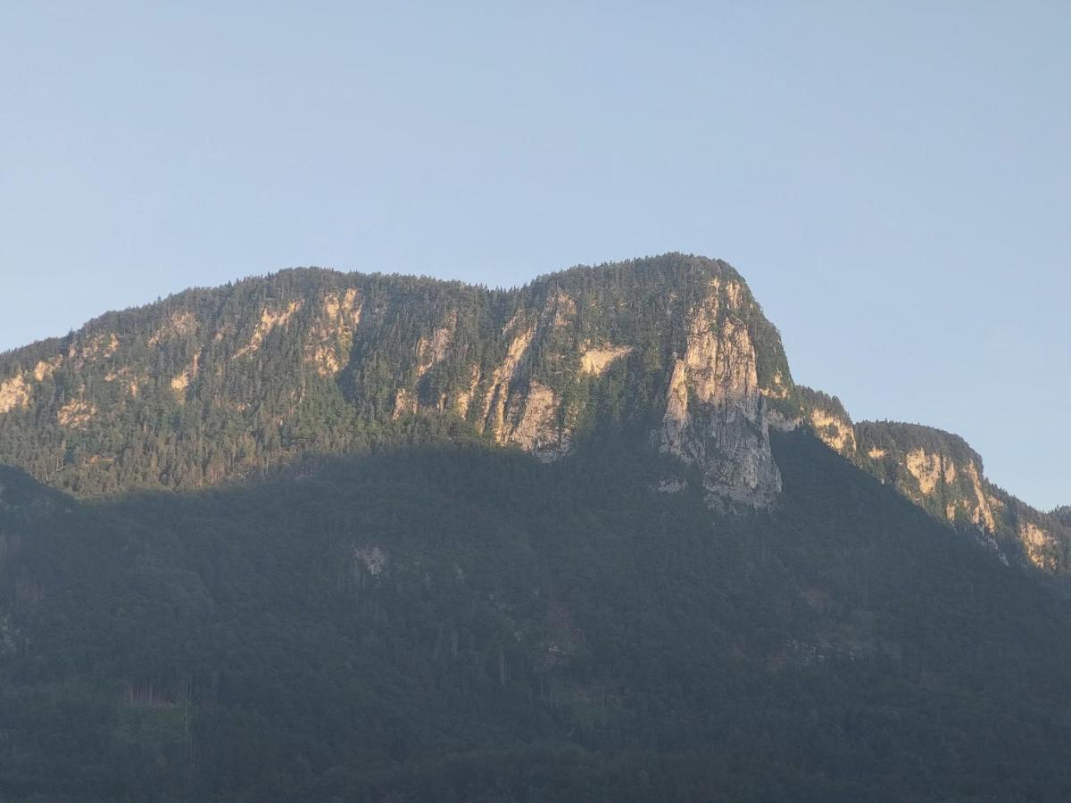 Apartmaji Pr'Pisk Bohinjska Bela Extérieur photo