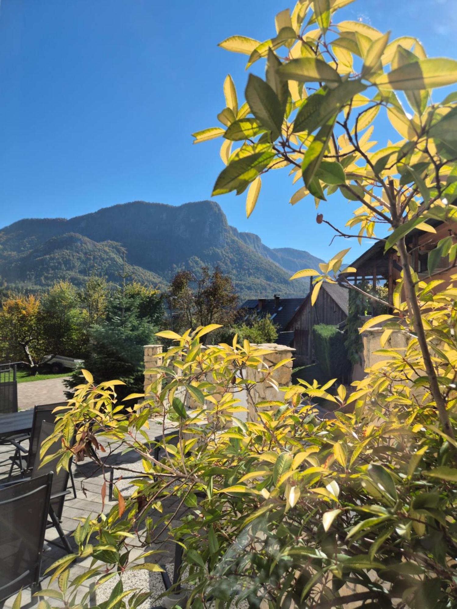 Apartmaji Pr'Pisk Bohinjska Bela Extérieur photo